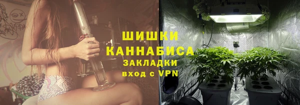 шишки Богородск