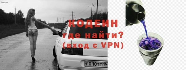 шишки Богородск