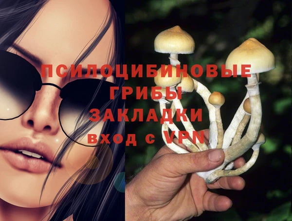 шишки Богородск