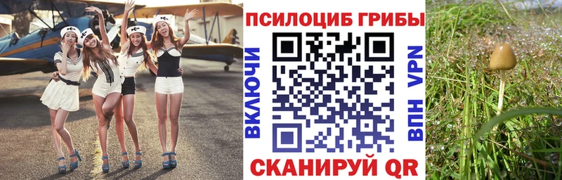 Купить где  Бирюч  Галлюциногенные грибы мухоморы 